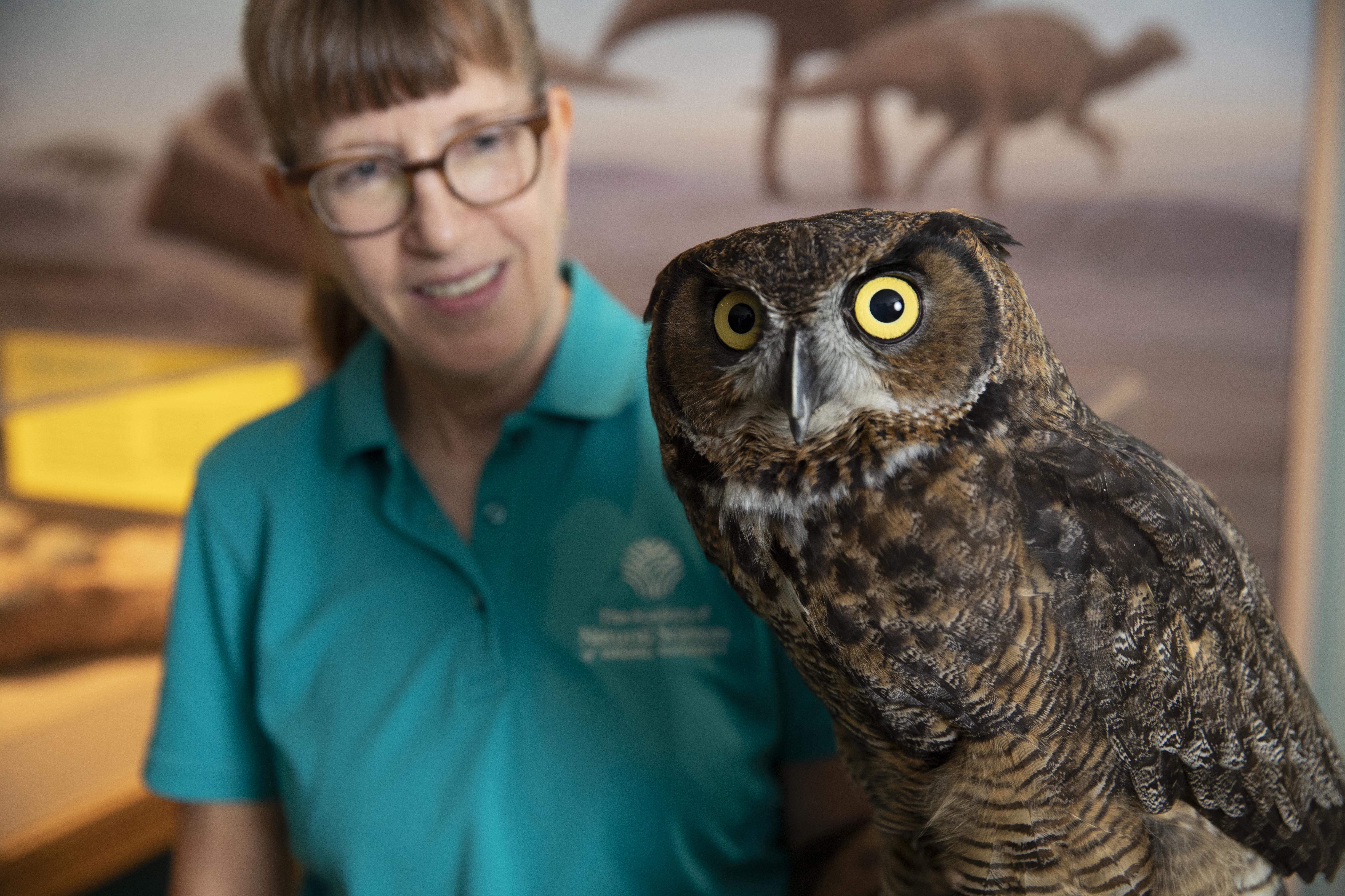 image of woman an owl